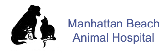 Link to Homepage of Manhattan Beach Animal Hospital